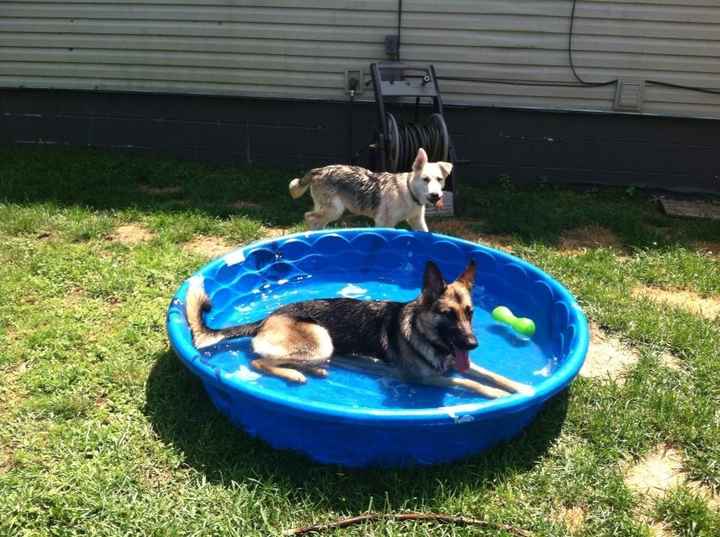 NWR Happy Fursday!!!