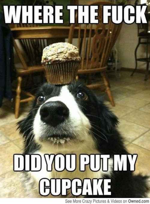 WW: Please welcome, Tickled Tuesday!