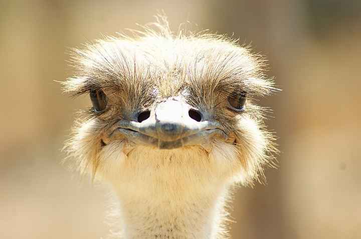 Confused, sad, torn. Deciding the year of the wedding.