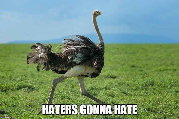 This post contains an ostrich