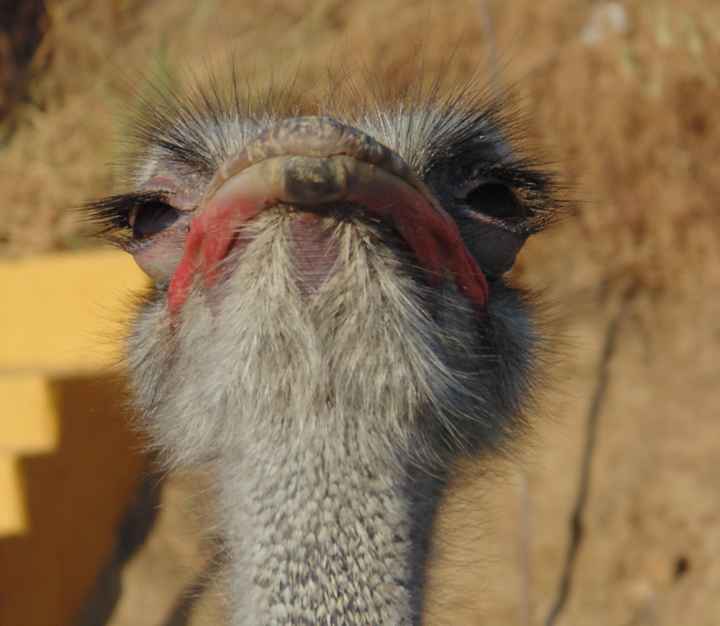 Another Hidden Thread