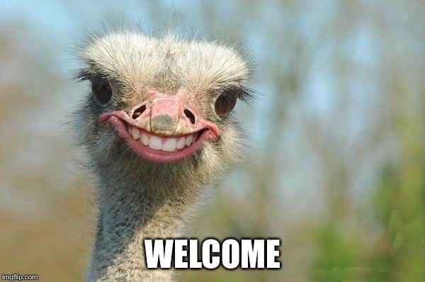 Newly Engaged, New to WW!