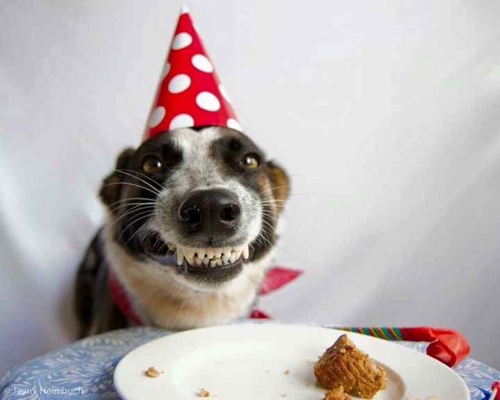 I feel so flipping old....