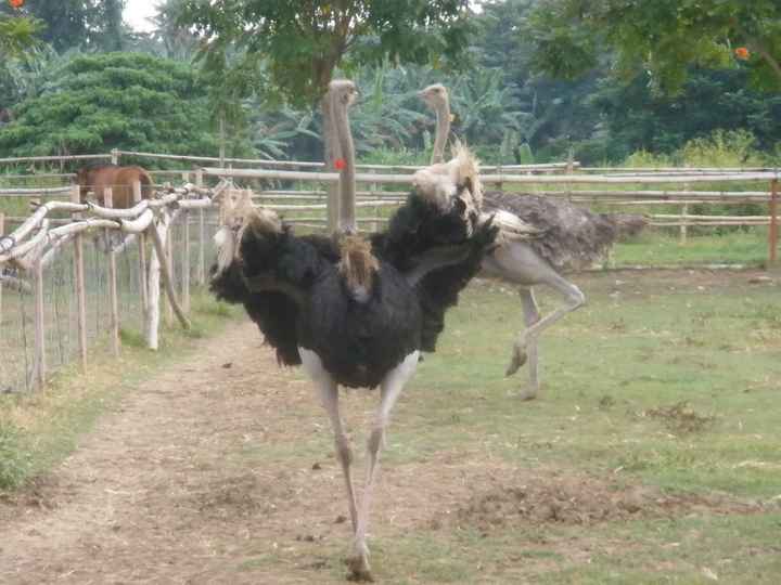 So I just got a FB message from a cousin who wasn't invited to the wedding...