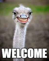 Happy Wednesday! I'm new here :)