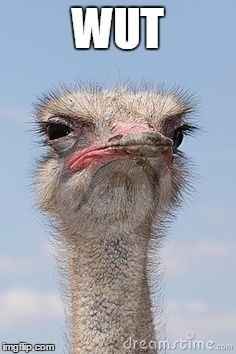 Shout out to all of you!