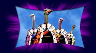 Ring Avatars- Please Read This!!!