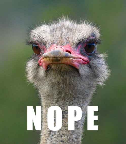 Invite to Ceremony Only