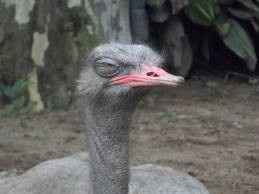 New bride, need help