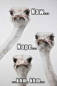 Asked to be a Flower Girl at a wedding for my Best Friend  Read more: http://boards.weddingbee.com/t