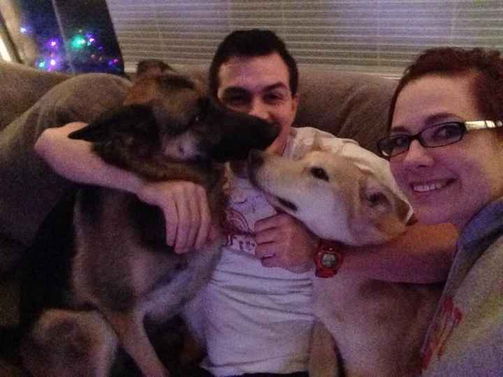 Photographer. Bowel Movements. Christmas. Pictures.