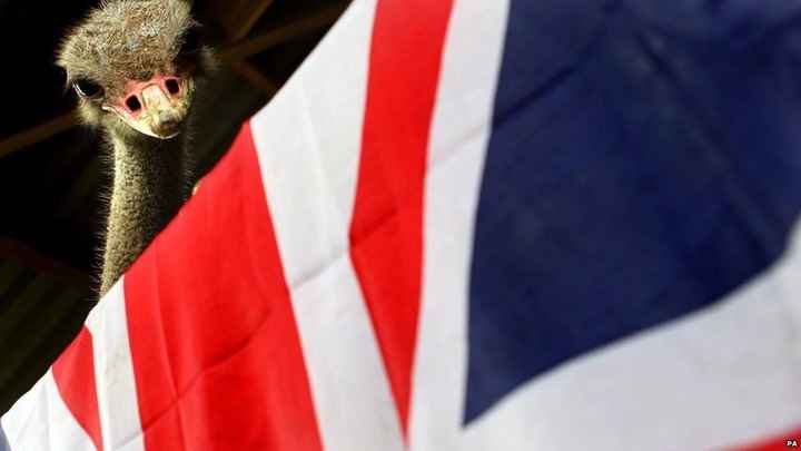 Over 60percent decline rate...*sigh* and apparently some people have to be a**holes... about it