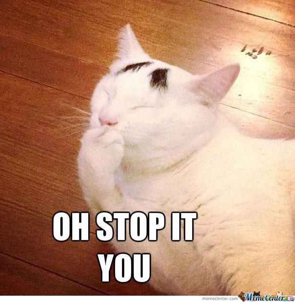 My wedding dress came in! Calling all Michigan brides! (duh...pictures)