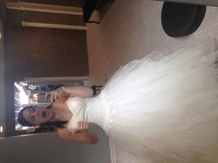 My wedding dress came in! Calling all Michigan brides! (duh...pictures)