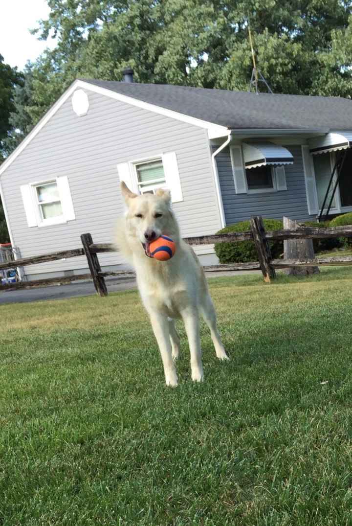 NWR: the most pointless thread you'll ever read