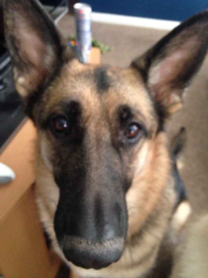 NWR: Fur-baby Fursday!