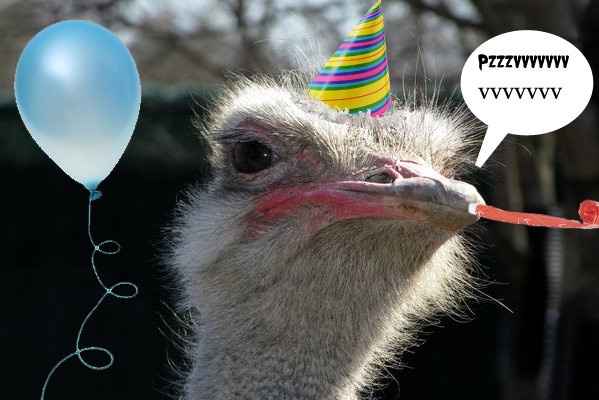 It's WW Katie's Birthday!!!!