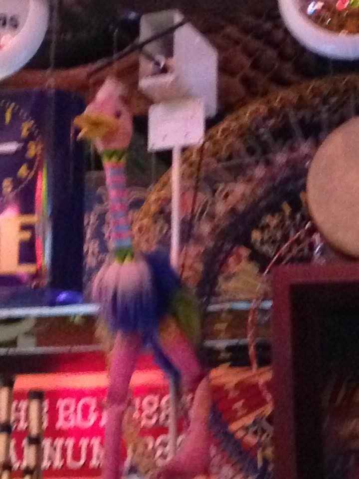 BAB - When they say non-traditional..PICTURES