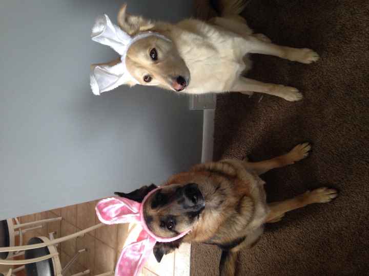 NWR: I hope this brings  a smile to your face!