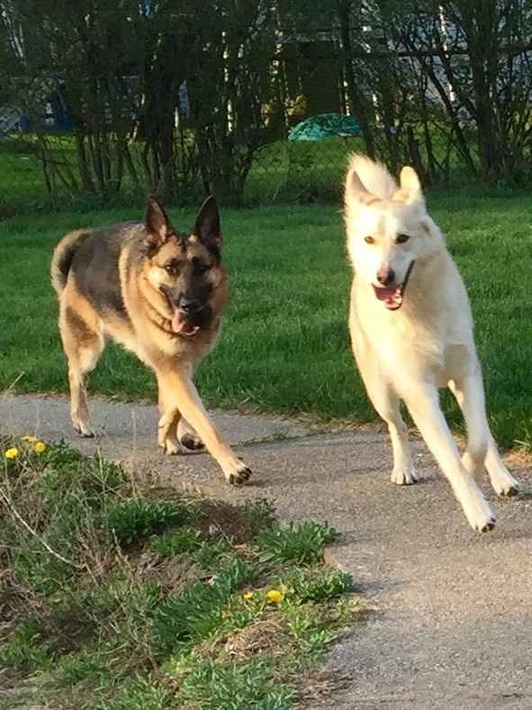 NWR: who invited moon moon?