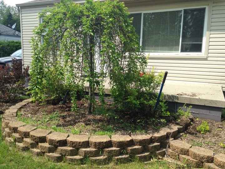 NWR: Any gardening brides out there? (breaking up the spam)