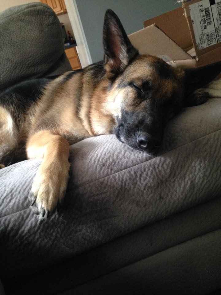 NWR: Lets talk pets.