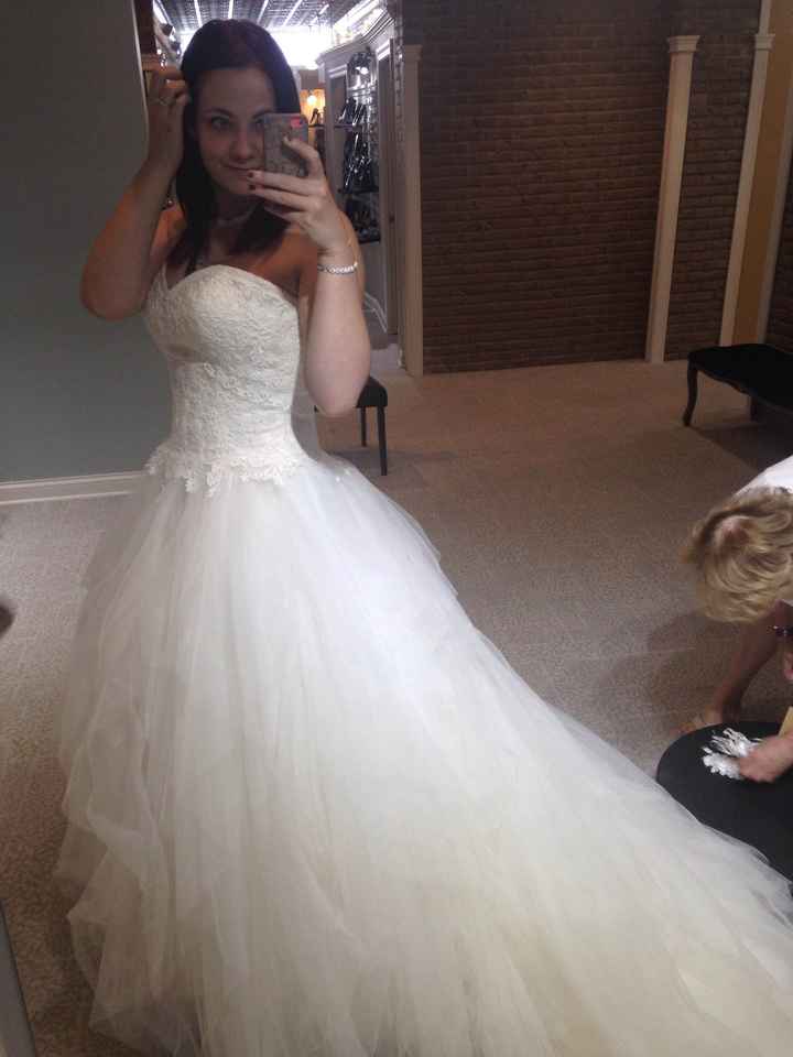 My wedding dress came in! Calling all Michigan brides! (duh...pictures)