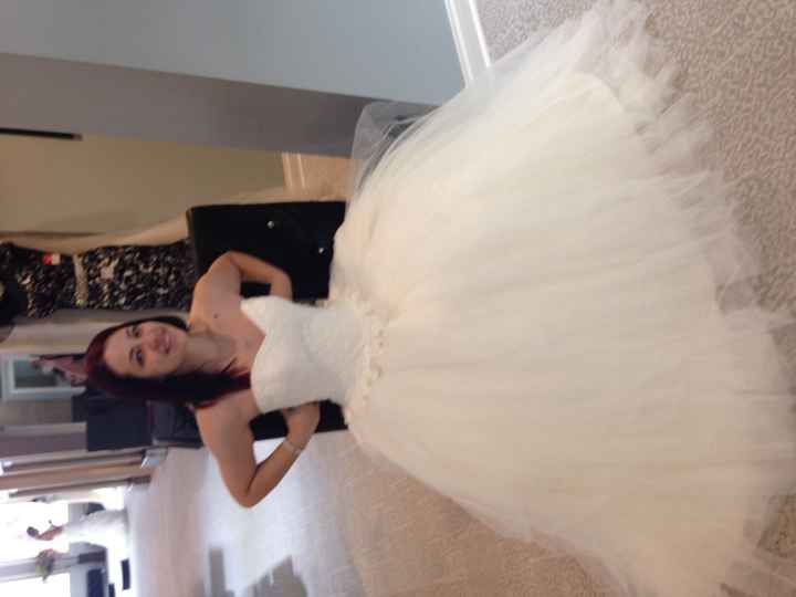 My wedding dress came in! Calling all Michigan brides! (duh...pictures)