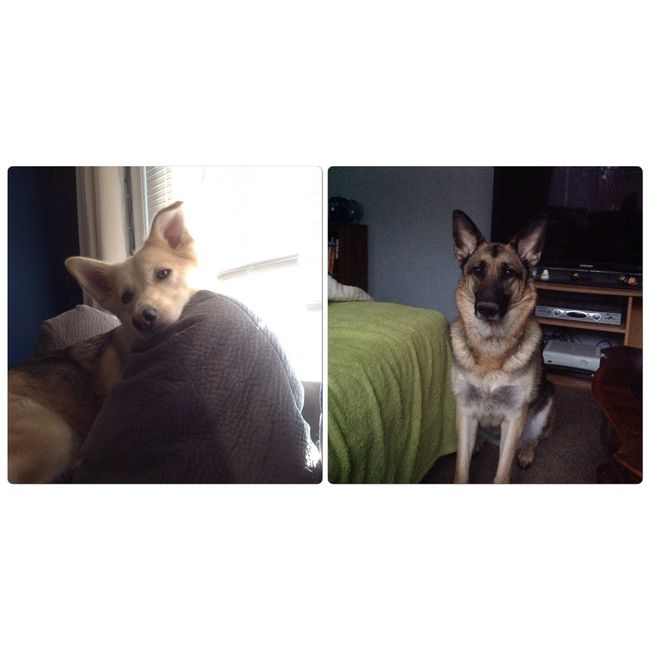 Fur baby friday!