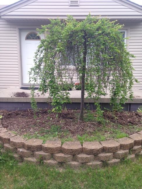 NWR: Any gardening brides out there? (breaking up the spam)