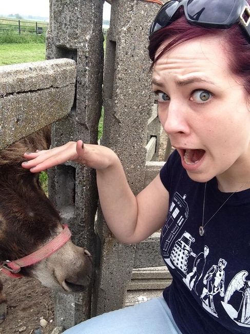 BACK AND BRIDESMAID with a Donkey update.