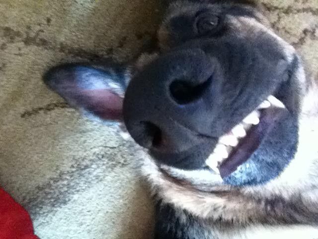 NWR Happy Fursday!!!