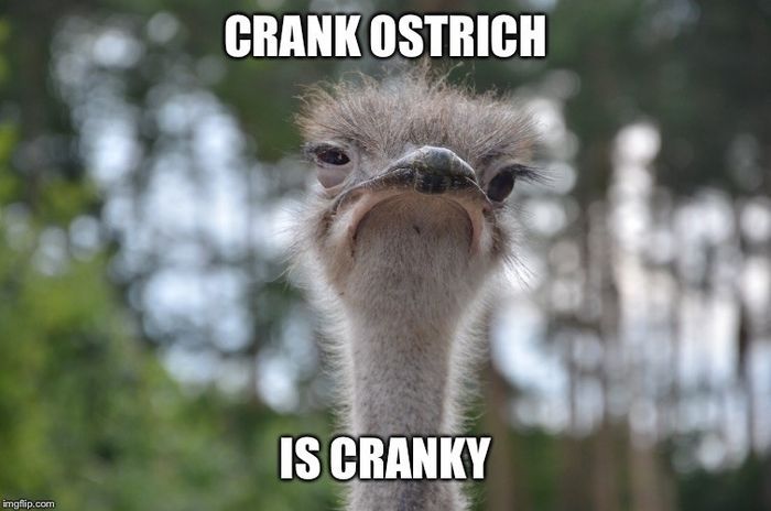 Crankypants Party