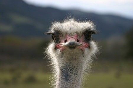 I hate Hidden Threads!