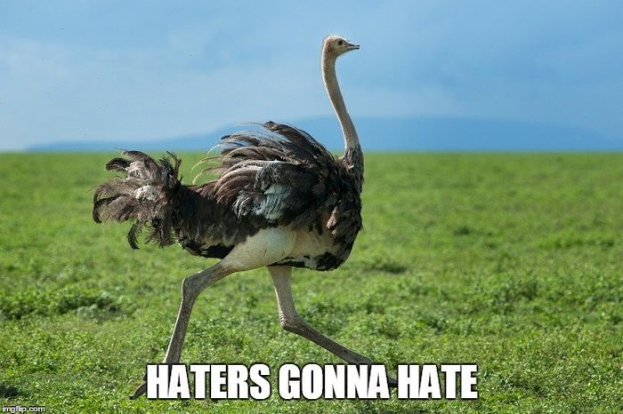 This post contains an ostrich