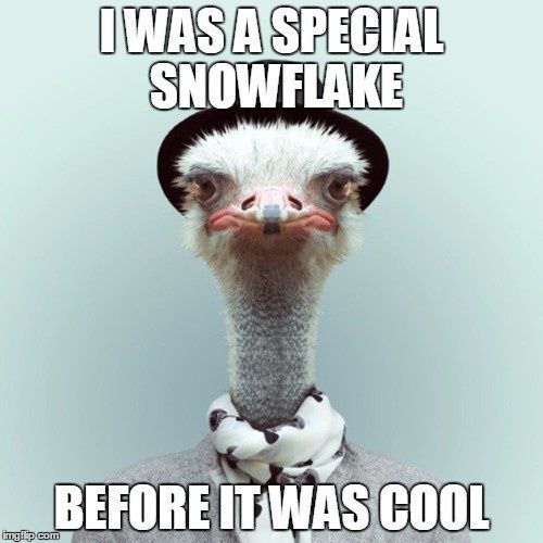 This post contains an ostrich