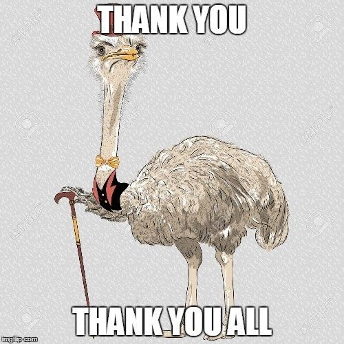 Shout out to all of you!