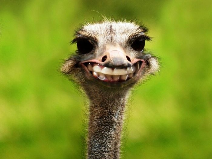 New bride checking in!