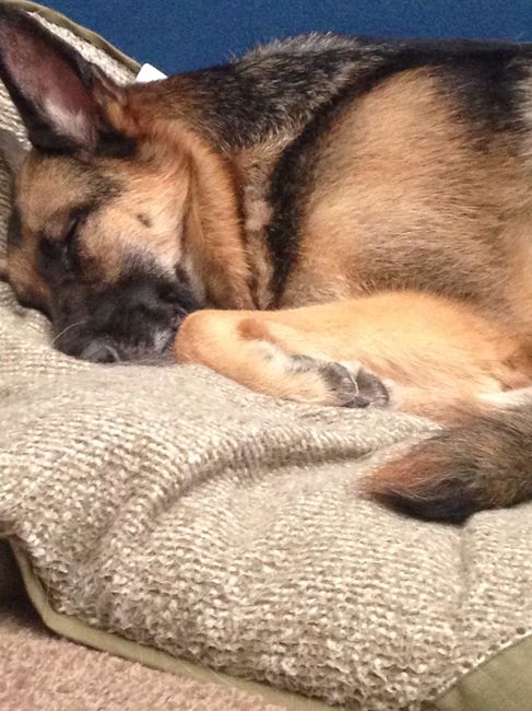 NWR: Fur-baby Fursday!