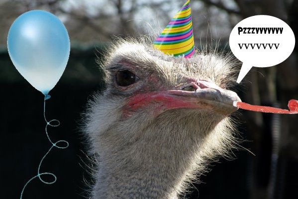 NWR: It's My Birthday Today!!!