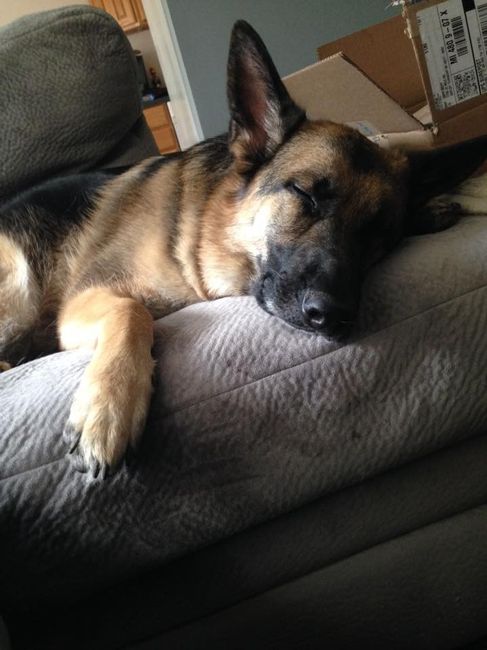 NWR: Lets talk pets.