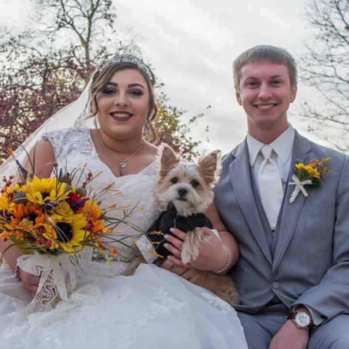 Incorporating your dog in the wedding