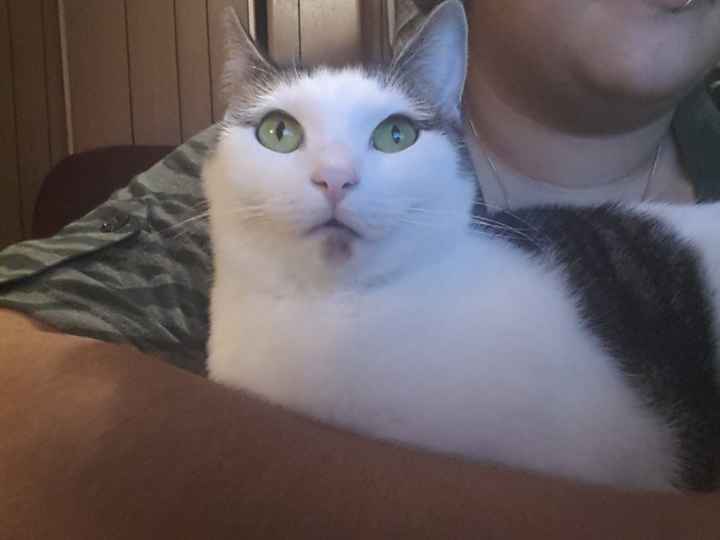NWR:  Feline Friday :)