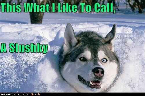 Snow Day Meme Thread