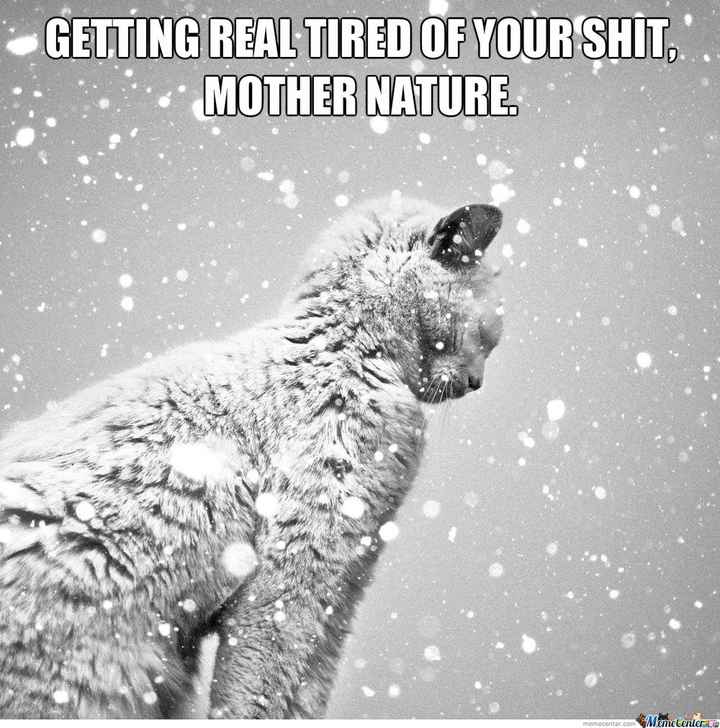Snow Day Meme Thread