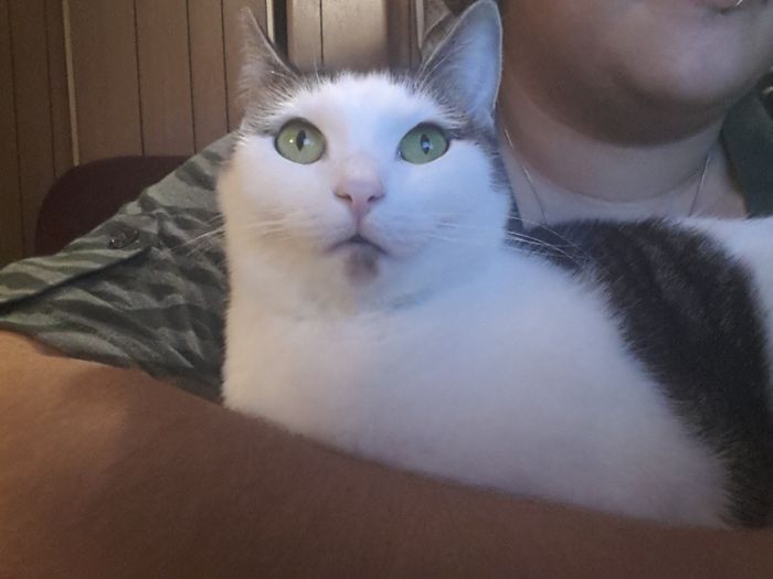 NWR:  Feline Friday :)