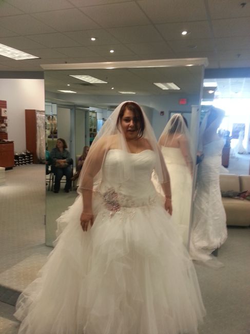 Wedding Dresses!