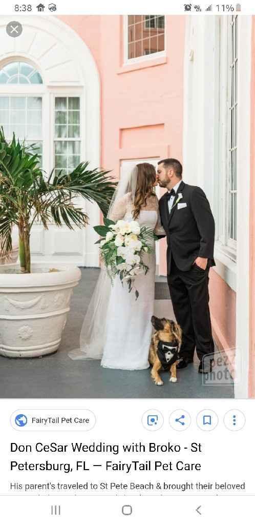 Need advice....again...lol - 1