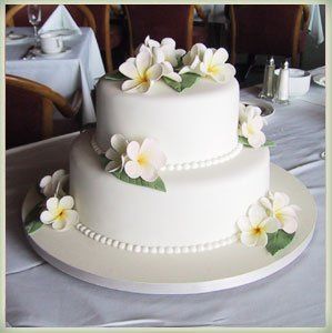 Need Cake Ideas!