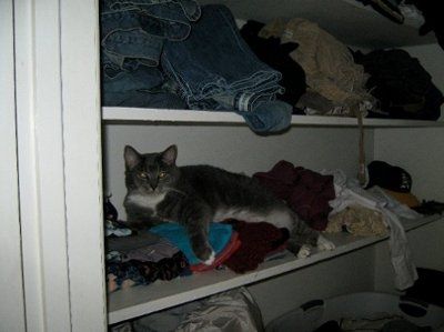 My furbaby: pics of the evil thing included